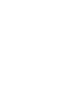Pavouk 016 levá s pavučinou