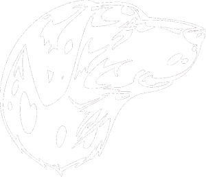 Pes 002 pravá Dalmatin
