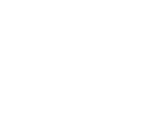 Pes 086 pravá Doga