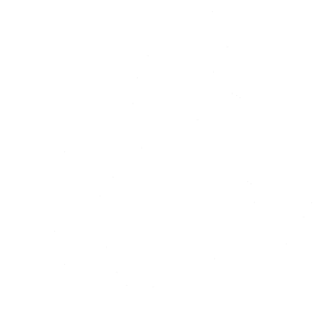 Pes 117 pravá husky