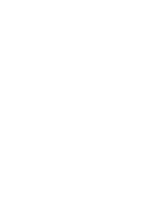 Pes 119 pravá Labrador
