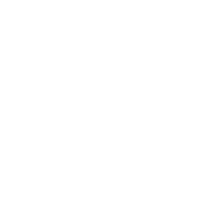 Pes 132 levá Cavalier king Charles spaniel