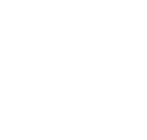 Pes 132 pravá Cavalier king Charles spaniel