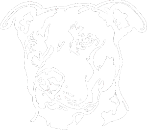 Pes 198 pitbull levá