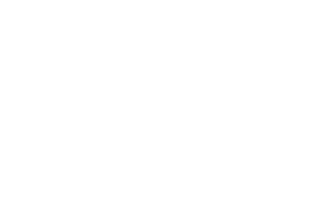 Pit Bull lady levá