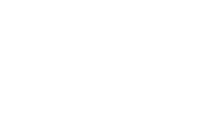 Pit Bull lady pravá