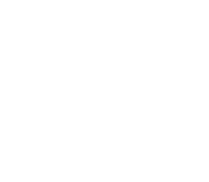 Pitbull hlava 006 pravá
