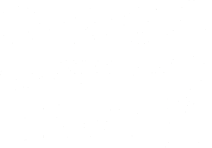 Porno casting team 