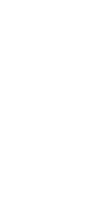 Pravěký pták 001 pravá