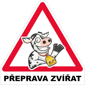 Přeprava zvířat 001 - kráva