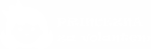 Princezna za volantem