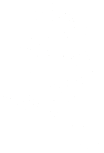 Růže 002 levá