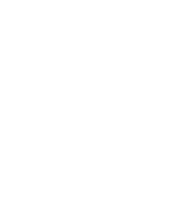 Růže 006 levá