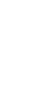 Růže 007 levá