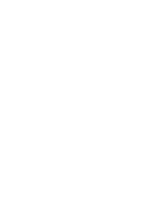 Ryba 024  pravá akvarijní skalára