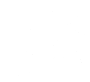 Ryba kostra 001 levá
