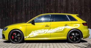 Samolepka na bok draci 003