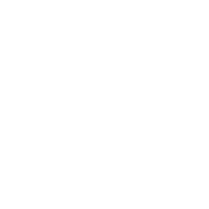 Samolepka na víčko od nádrže 009 benzín