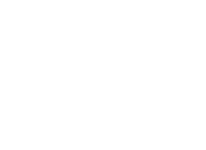 Škoda mafia pravá