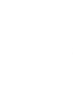 Slepička 001 levá hlava