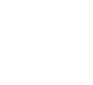 Spinner