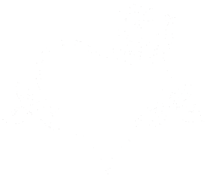 Srdce s růží pravá