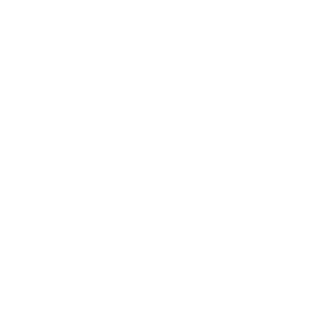 Startovní číslo 06 typ 2  