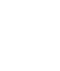 Startovní číslo 10 typ 2   