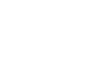 Startovní číslo 10 typ 3