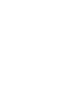 Startovní číslo 11 typ 3  
