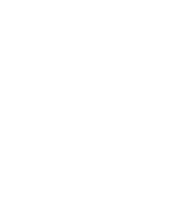 Startovní číslo 13 typ 2   