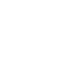 Startovní číslo 13 typ 3    