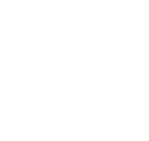 Startovní číslo 15 typ 3     