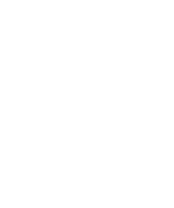 Startovní číslo 16 typ 2  