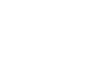 Startovní číslo 17 typ 3       