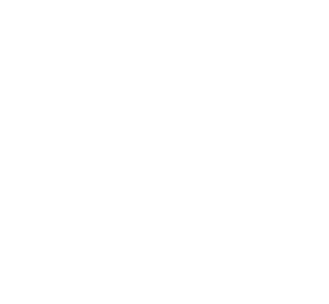 Startovní číslo 19 typ 3         