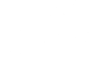 Startovní číslo 20 typ 3          