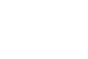 Startovní číslo 20 typ 4