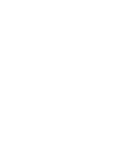 Startovní číslo 21 typ 2       