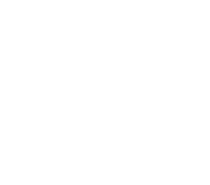 Startovní číslo 21 typ 3