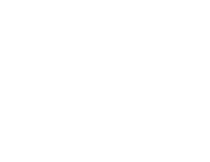 Startovní číslo 22 typ 3