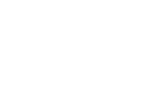Startovní číslo 25 typ 7