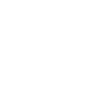 Startovní číslo 26 typ 2   