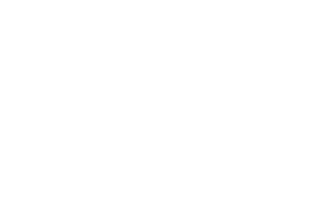 Startovní číslo 27 typ 7