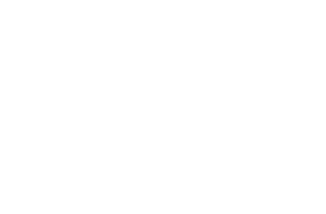 Startovní číslo 34 typ 4