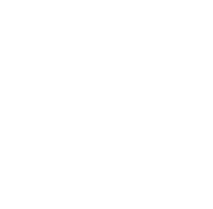 Startovní číslo 36 typ 2  
