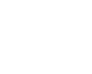 Startovní číslo 47