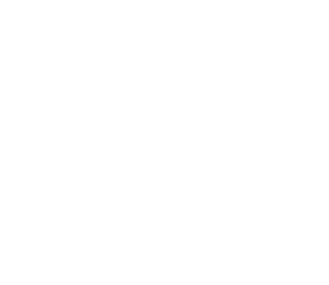 Startovní číslo 47 typ 2      