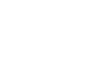 Startovní číslo 47 typ 4