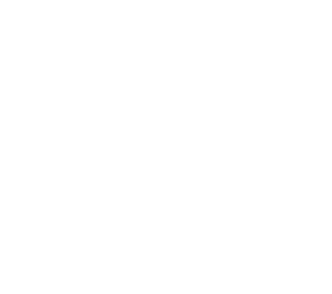 Startovní číslo 48 typ 2     